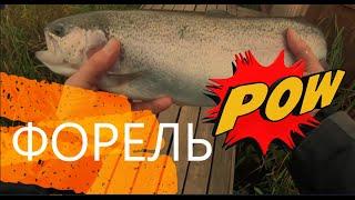 Ловля ФОРЕЛИ на спиннинг Рыбалка на платнике