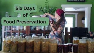 Easy Food Preservation ~ Canning, Freezing, & Drying ~ #everybitcountschallenge Week 2