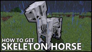 How To Get A SKELETON HORSE In MINECRAFT