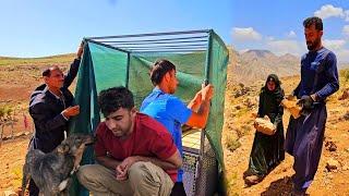 Building a Wilderness Toilet in the Mountains ️ | Incredible Moments of Nomadic Life