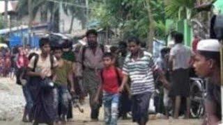 Rohingya Breaking Update 5 August 2024 Please Pray for Maung Daw for Rohingya Community