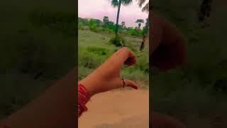 meri zindagi se jane ka kya loge tum #trending #new  #short #video