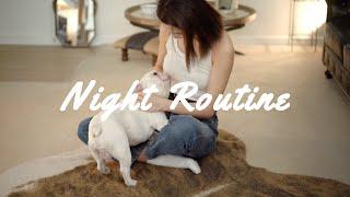 Night Routine  / 晚间步骤 / 干皮敏感肌极简护肤/ ninido