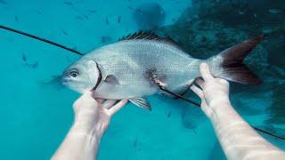 EP 6 - FIRST FISH with OCEANIA! Teriyaki Fish Marinade Recipe | Catch n Fry