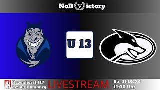 U 13 | Hamburg Little Devils VS Hamburg Little Huskies | 31.08.24 | 11:00 Uhr