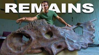 The Great Fossil Race: Uncovering Prehistoric Dinosaur Bones | Dino Hunters | Real Wild