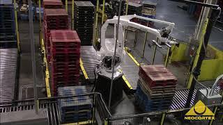 Revolutionary Neocortex Pallet Sorting System