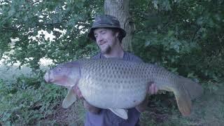 Estate Lake carp and a Tackle Stolen!! - Diary of an Average Carp Angler