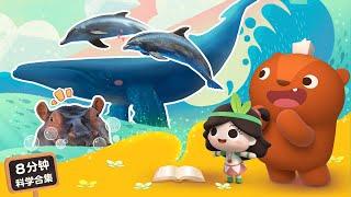 Early Learners | Mammals of the Water | Emmy&GooRoo Nature Class Compilation | Kids Cartoons [SUBS]