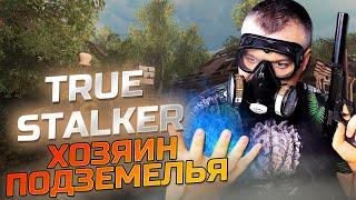 ХОЗЯИН ПОДЗЕМЕЛЬЯ  True Stalker  Серия 8