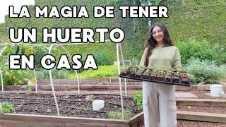 Mi Jardín Se Convirtió En Un Huerto Urbano y No Puedo Estar Más Feliz 