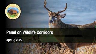 Conservation and Restoration of Wildlife Corridors and Habitat Connectivity