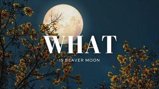 BEAVER MOON: The Full Details You Need To Know