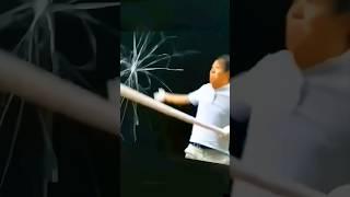 Captivating showcase of static electricity 