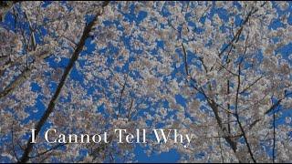 255 SDA Hymn -  I Cannot Tell Why  (Singing w/ Lyrics)