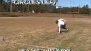 Speed Agility Quickness Exercises