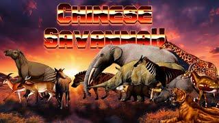  Chinese Savannah