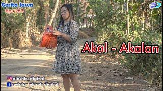 AKAL - AKALAN || Eps 253 || Cerita Jawa