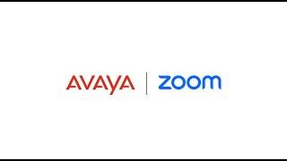 Continuity Meets Creativity: Avaya Zoom Synergy