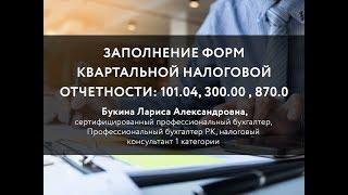 Заполнение форм квартальной налоговой отчетности: 101.04, 300.00 , 870.00, 701,01