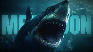 How Strong Was Megalodon?