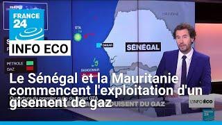 Le Sénégal et la Mauritanie commencent l'exploitation d'un gisement de gaz • FRANCE 24