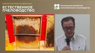 "О преимущестах вертикальной и безразрывной технологии в пчеловождении" - 7 конференция ЕП-2020.