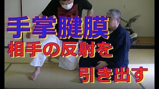 合気柔術チャンネル　技術・理合＃005　手掌腱膜　aiki  makoto  okamoto