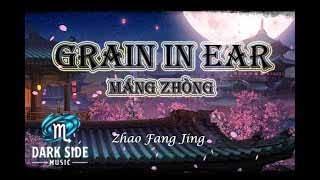 Grain in Ear (芒种) Máng zhòng - Zhao Fang Jing 赵方婧 // Lyrics Video