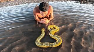 Exploring For Venomous Sea Animals In Tide Pools