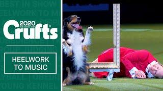 Heelwork To Music - Freestyle International Winner at Crufts 2020