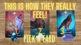  THIS IS HOW THEY *REALLY* FEEL ABOUT YOU! Find out the truth!... / Love Tarot Pick a Card