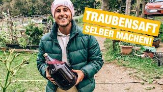 Wir machen hausgemachten Traubensaft mit Trauben vom Grundstück | Lebenshof Slowenien