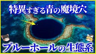 【ゆっくり解説】未知のモンスターは実在するか？「ブルーホール」に実在する生物とその成り立ちを解説