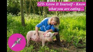 GIY- Grow It Yourself - Know what you are eating…