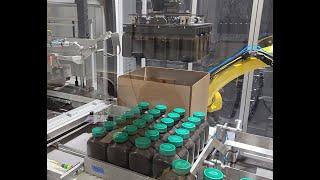 Robotic Case Packer and Palletizer for Nutraceutical Bottles