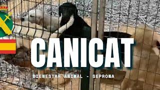 La Guardia Civil investiga a una empresa por la comercialización ilícita de animales domésticos