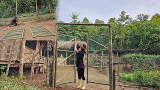 Tam completed the farm's gate using extremely sturdy wood.