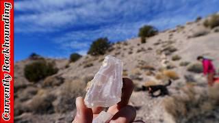 Incredible Agates Outside of Panaca Nevada