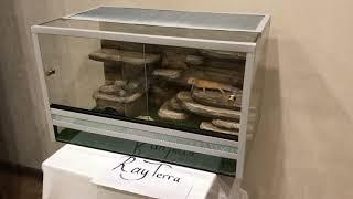 Комплект для содержания эублефара