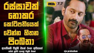 රස්සාවක් නොකර කෝටිපතියෙක් වෙන්න හිතන  පිංබතා :  Movie Explanation Sinhala | Sinhala Movie Review