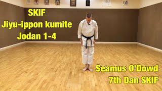 Jiyu-ippon kumite: jodan 1-4