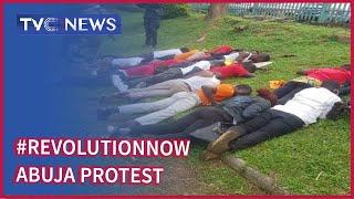 #RevolutionNow Demonstrators Allege Harassment By Security Operatives