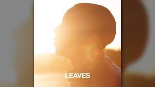 Eric Stanley  - Leaves