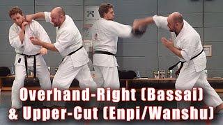 Practical Kata Bunkai: Dropping and Rising Punches (Bassai and Enpi / Wanshu)