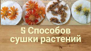 5 Способов, как сделать  красивые сухоцветы своими руками. Сушка цветов для картин, панно, поделок.