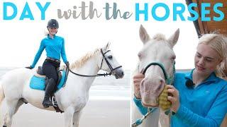 DAY in the Life with HORSES! Beach Ride, Mickey Walks + Jumping | AD | This Esme