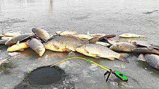 Fierce ZHOR OF the CRUCIAN CARP!!! HE BREAKS FISHING RODS! Winter fishing for crucian carp