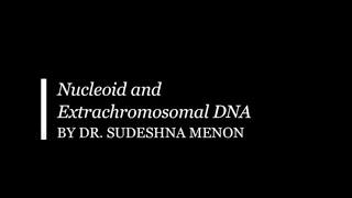 Nucleoid and Extrachromosomal DNA