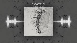 Cicatrici